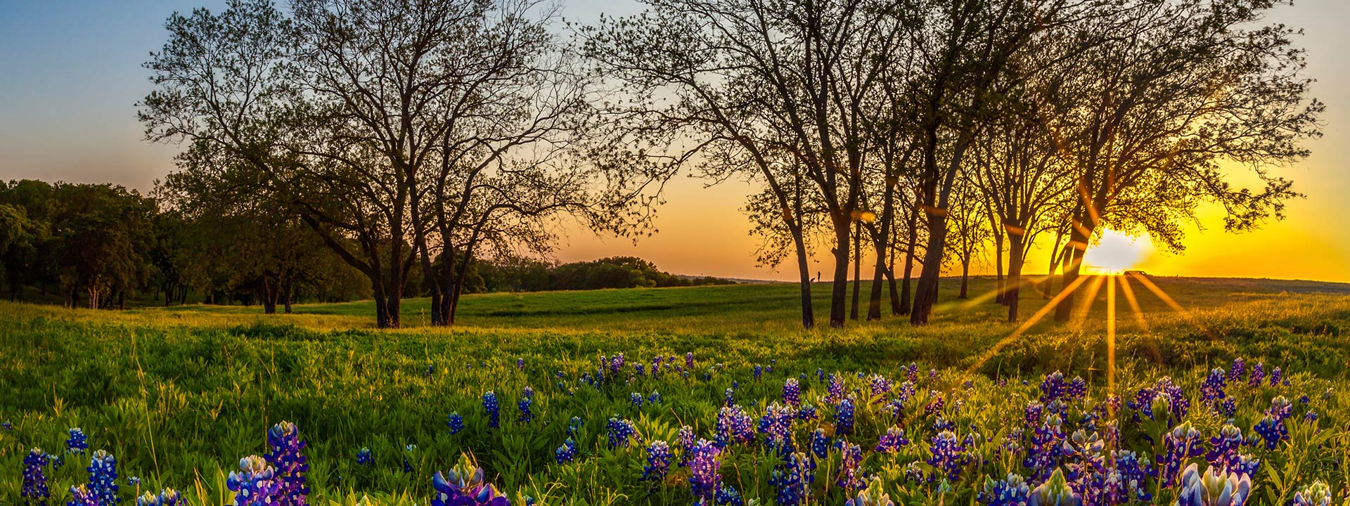  Contact Us | Davis Greenlawn Funeral Chapel and Cemeteries