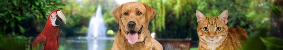 About Us | Friendship Pet Memorial Park