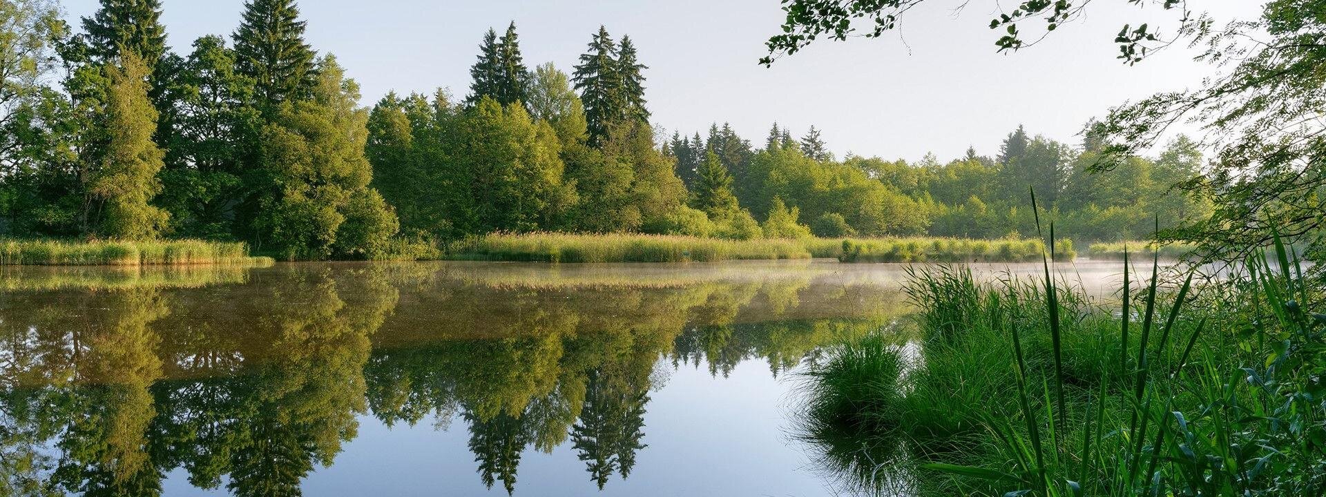  Plan Ahead | Serenity Funeral Home