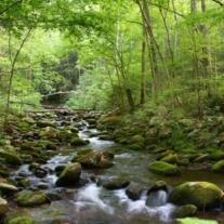 Erica L. Hopkins - Billouin