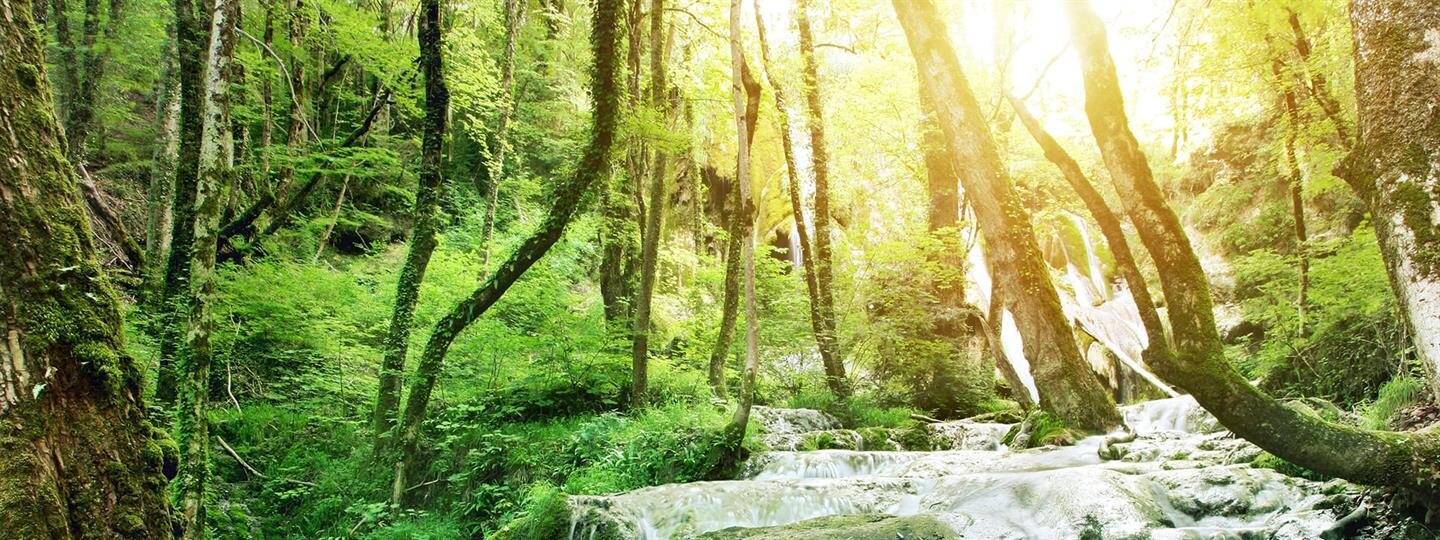 Contact Us Utter McKinley Mortuaries Mission Hills, CA