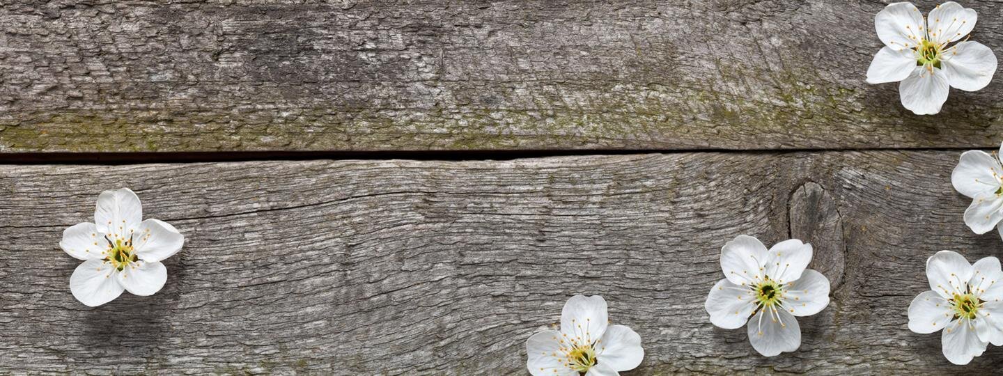 Services Utter McKinley Mortuaries Mission Hills, CA