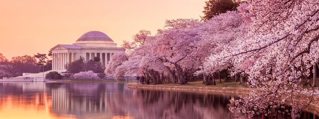 Obituaries Marshall March Funeral Homes Washington DC