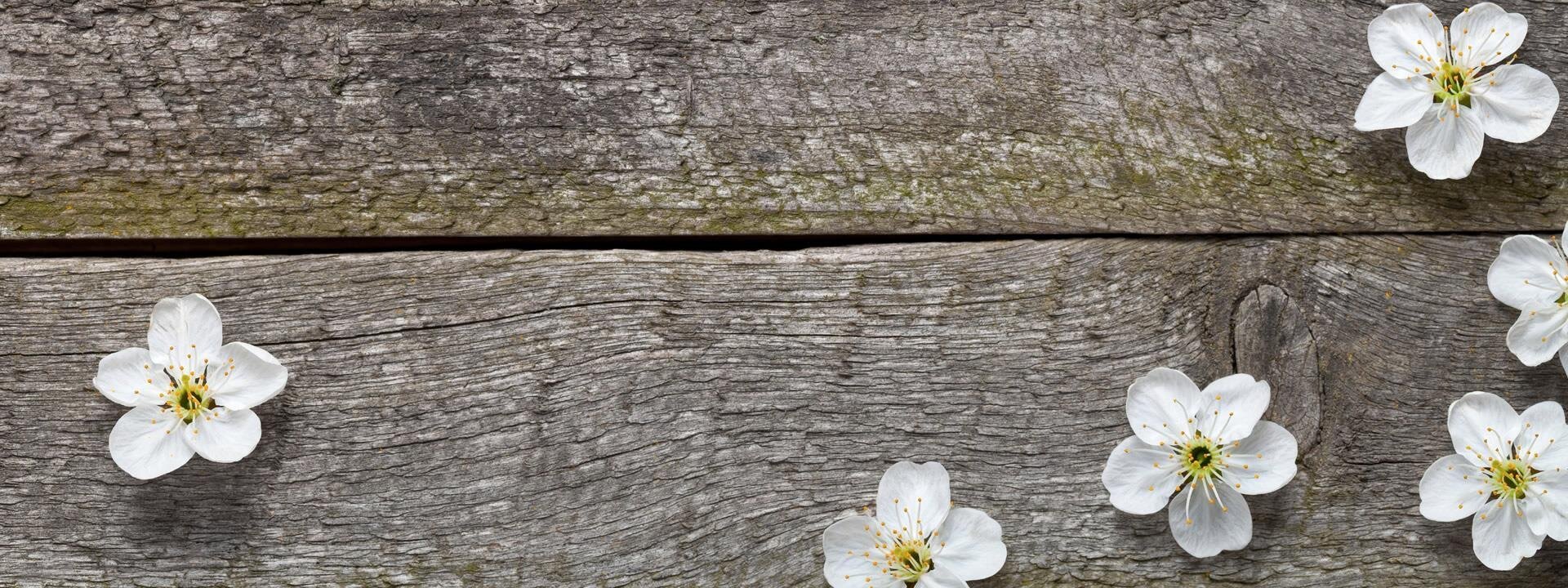  Services | Autumn Funerals & Cremations