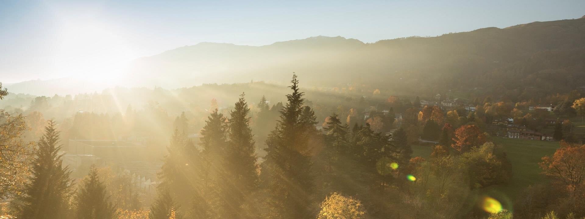  About Us | Autumn Funerals & Cremations