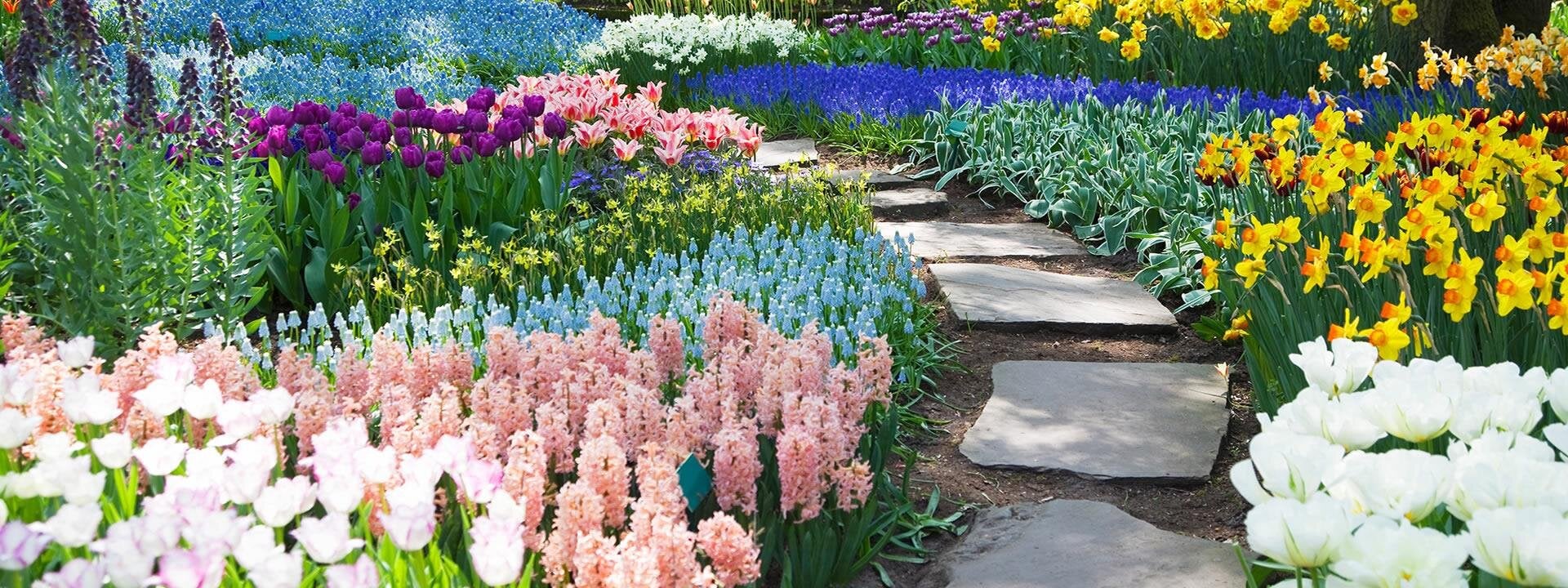  Grief & Healing | Bohlender Funeral Chapel