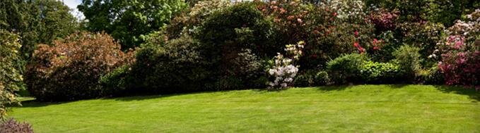 Tributes | Heritage Funeral Home