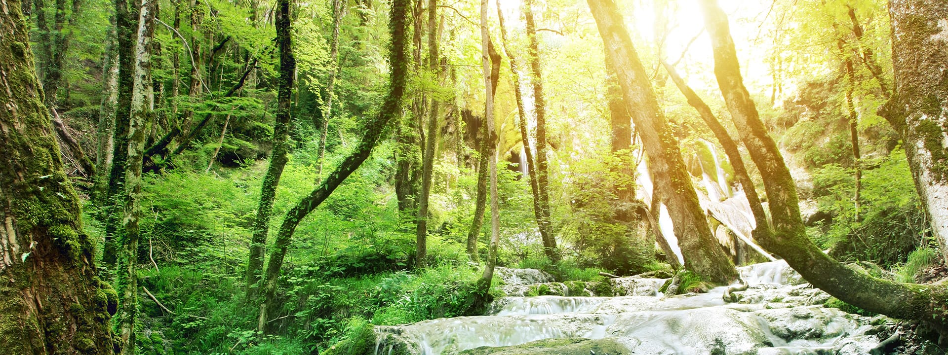  Contact Us | Congleton Funeral Home and Cremations