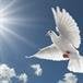 Jay K. Guben