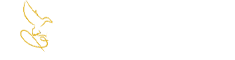 New Orleans Funeral and Cremation Service