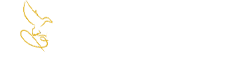 New Orleans Funeral and Cremation Service