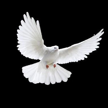 Ms. Shenita A. Butler-Hill