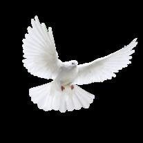 Mr. Keith Williamson