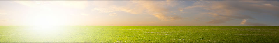 Resources | A Community Funeral Home