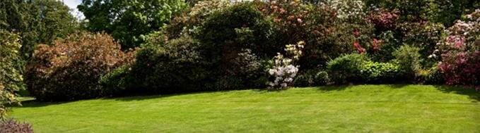 About Us | Robinette Funeral Homes