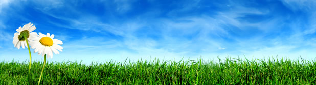 What We Do | Hopewell Funeral Home What We Do | Hopewell Funeral Home