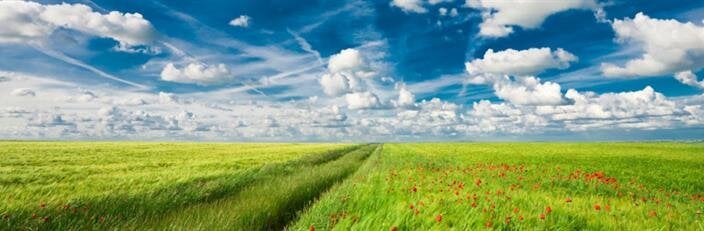 Obituaries | People&#39;s Cooperative Funeral Home