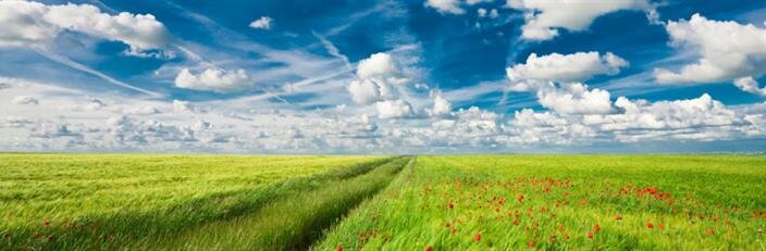 What We Do | People&#39;s Cooperative Funeral Home