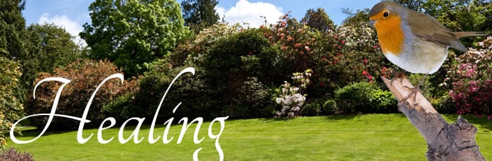 Plan Ahead | Bowen
Funeral Homes
