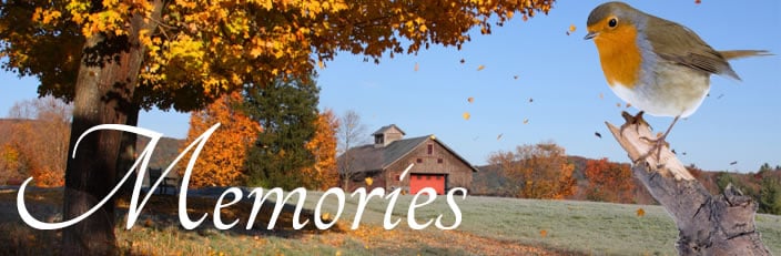 Grief &amp; Healing | Phillips &amp; Luckey Funeral Home