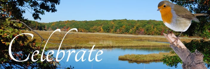 Obituaries | McBride Funeral Home
