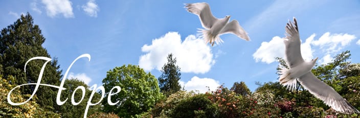 Contact Us | Schreffler Funeral Home