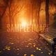Golden sunlight filters through trees in an autumn park, highlighting vibrant leaves on the ground.