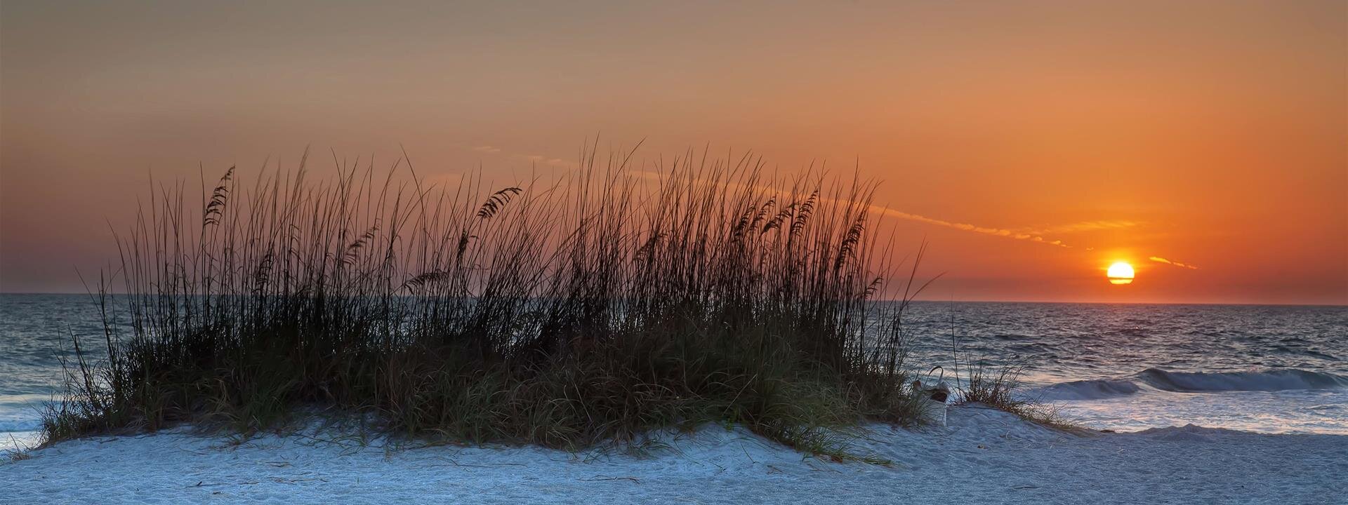  Grief & Healing | Toale Brothers Funeral Home & Crematory