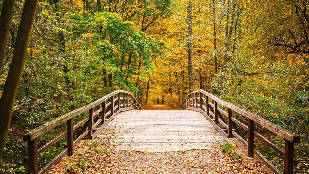 4 Tips to Planning Your Loved One’s Memorial + Personalization Ideas