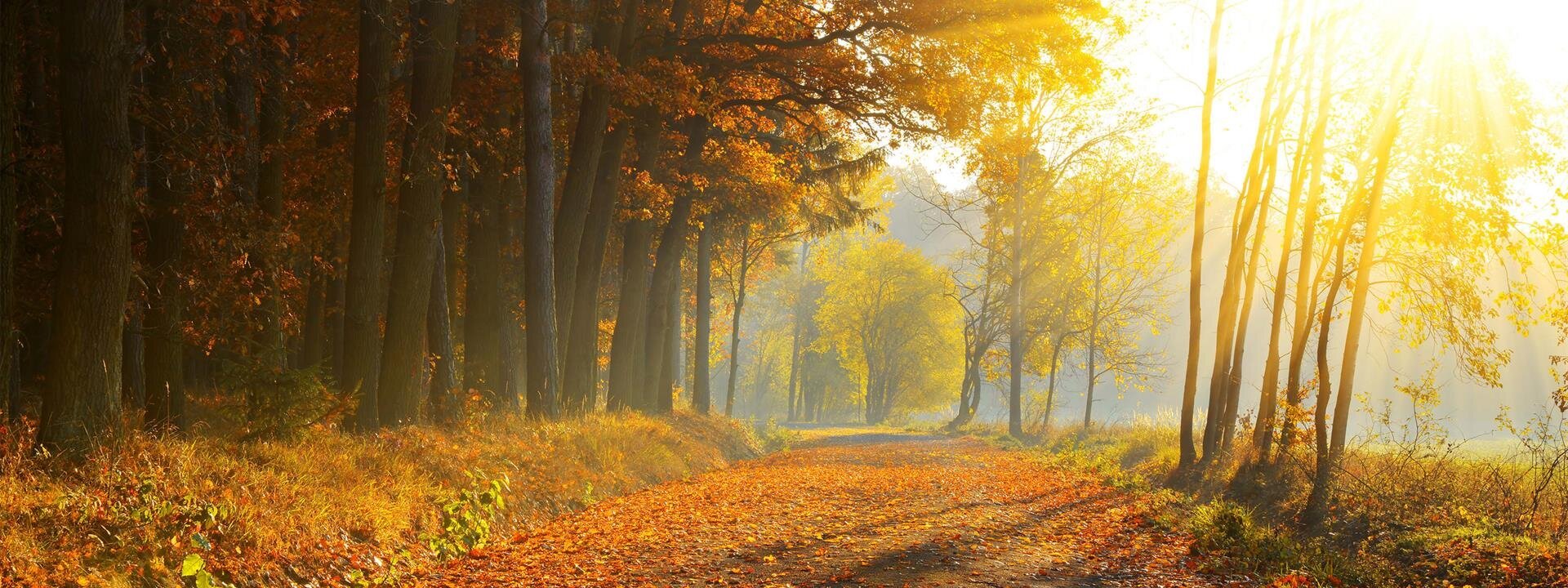  Services & Prices | Grisell Funeral Homes