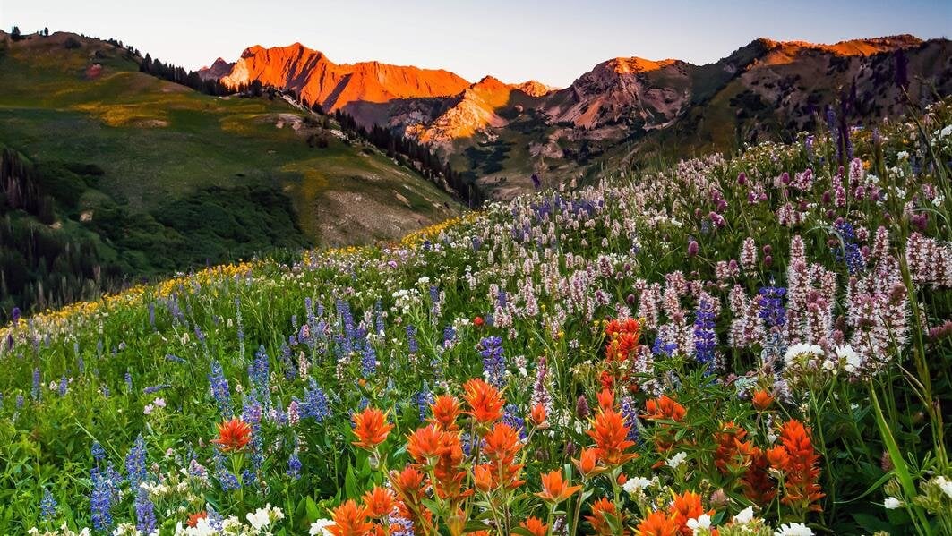 Landscape, mountains, spring