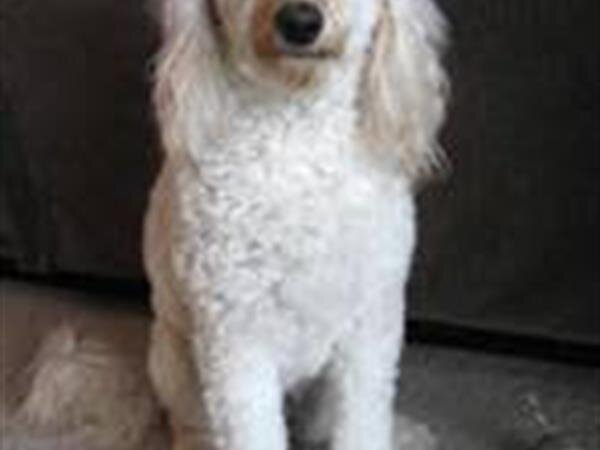 Tribute To Maggie 140982 6