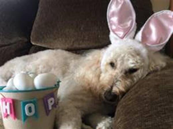 Tribute To Maggie 140987 11