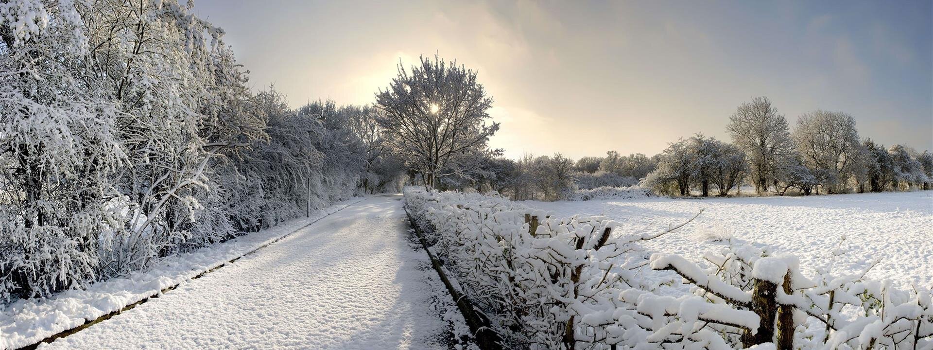  Resources | Grisell Funeral Homes