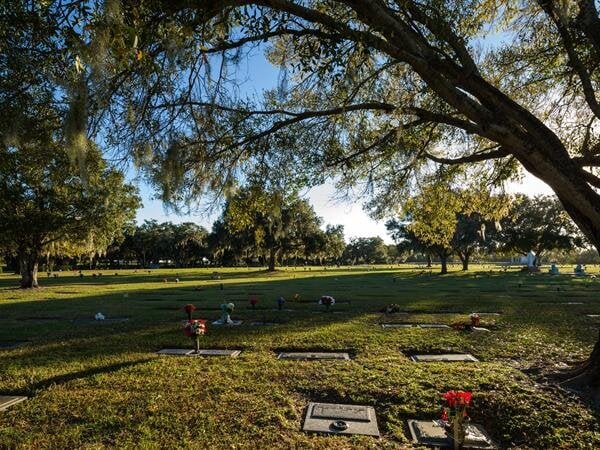 A serene cemetery filled with memorials under the warm glow of late afternoon sunlight.