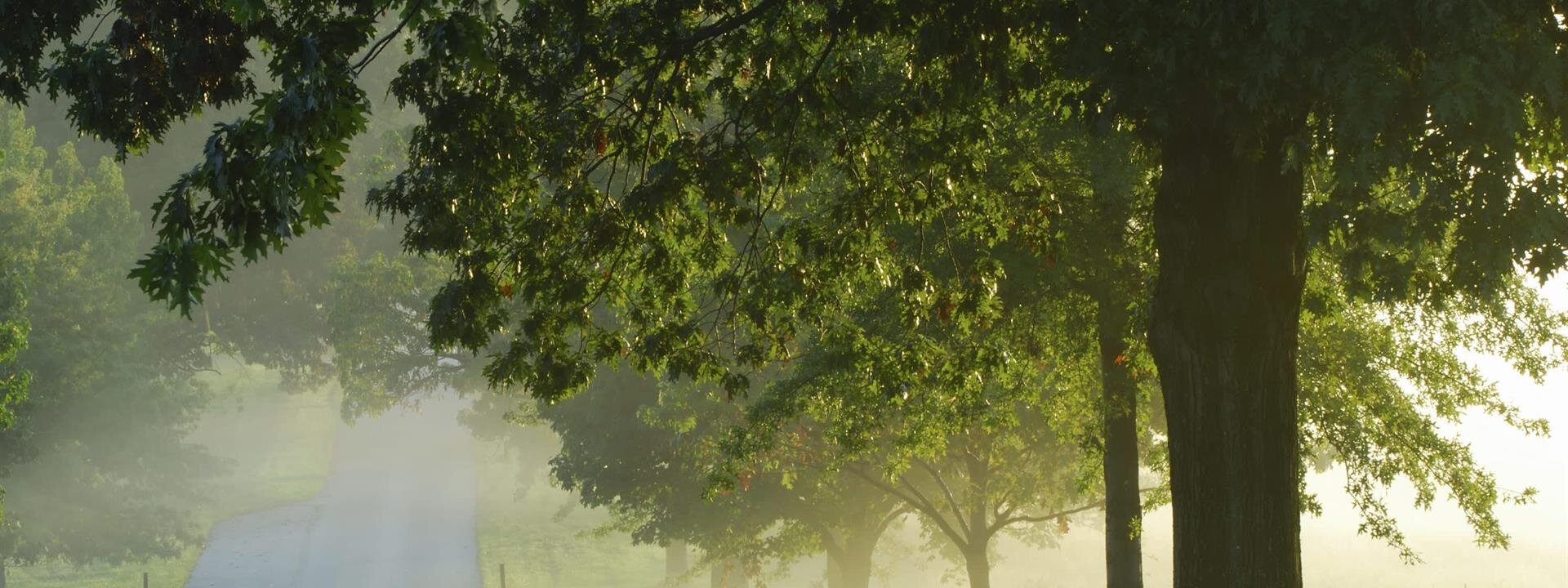  Contact Us | Anderson Funeral Homes