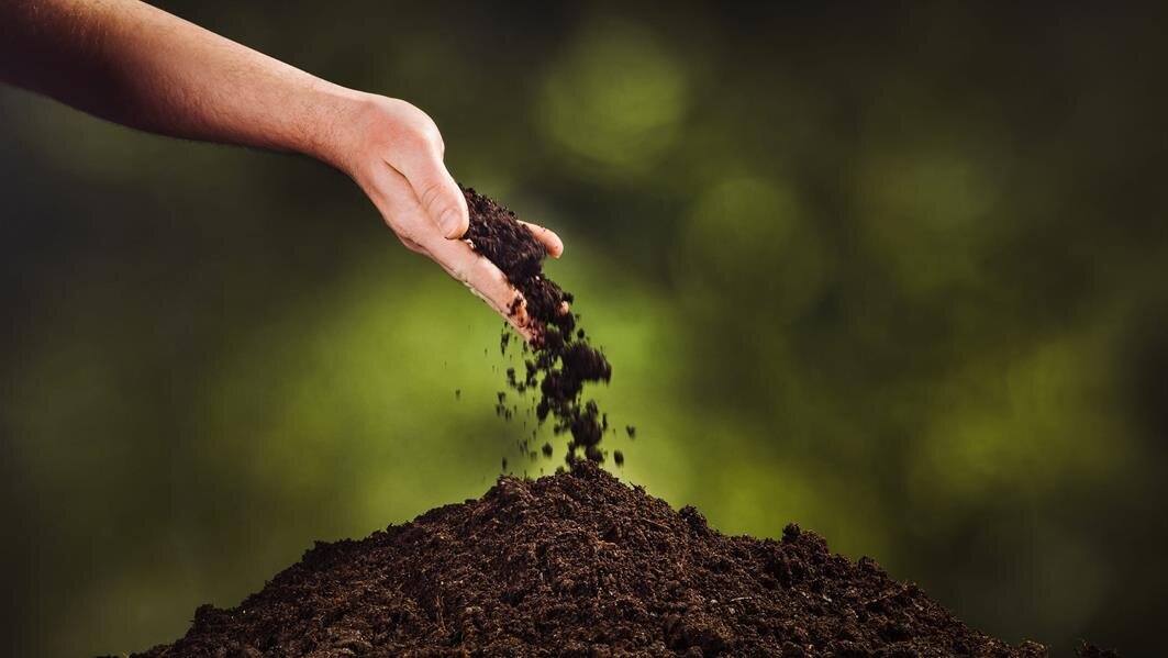What is a Green Burial?