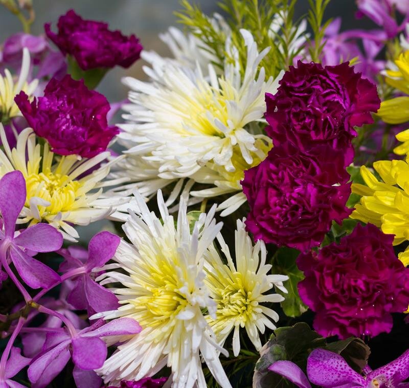 Flowers