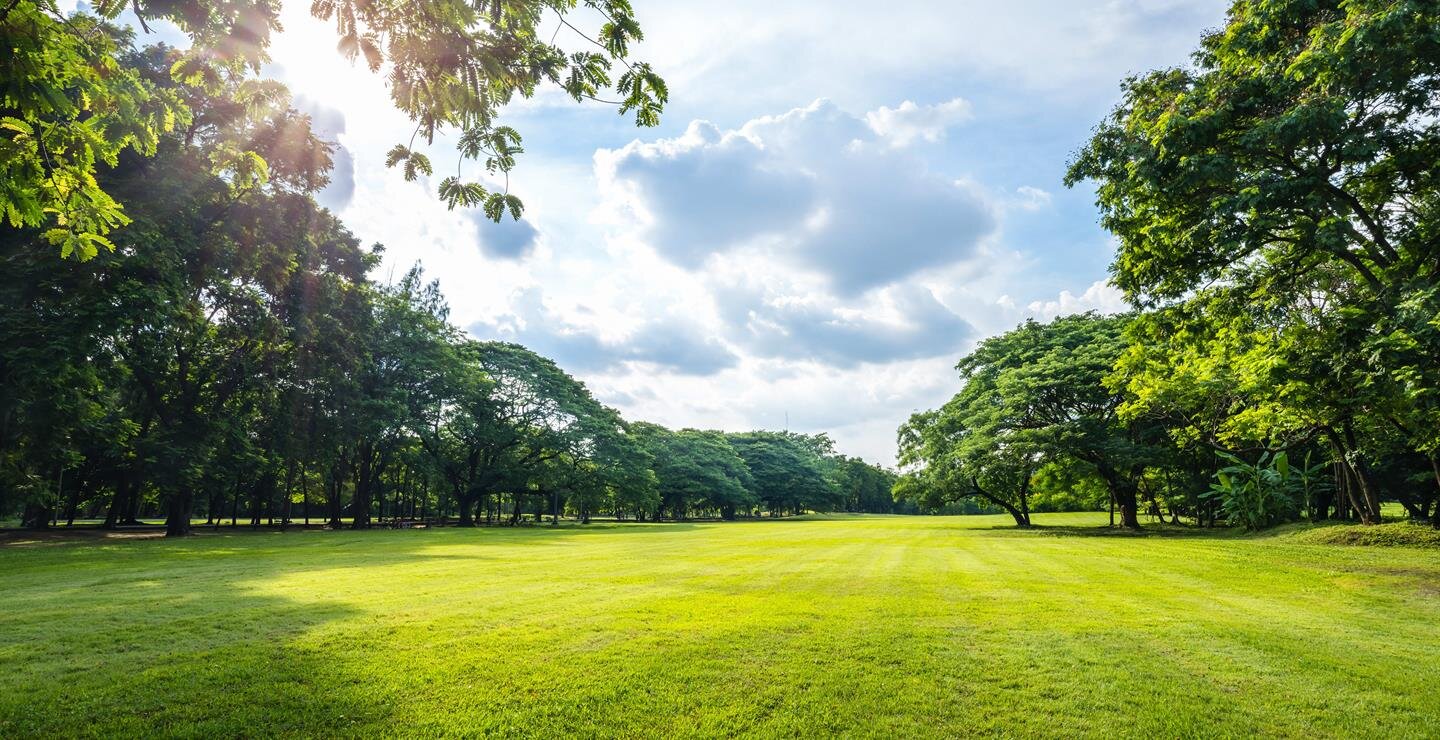 Expansive grassy area surrounded by trees, with sunlight filtering through clouds in the afternoon.