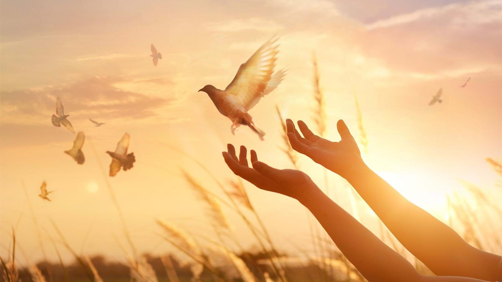 Reid Funeral Service & Chapel L'Anse, MI