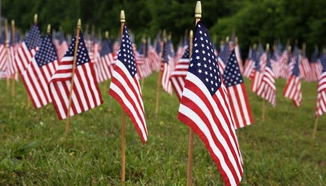 Small American flags are placed in neat rows across a green field, honoring a memorial occasion.
