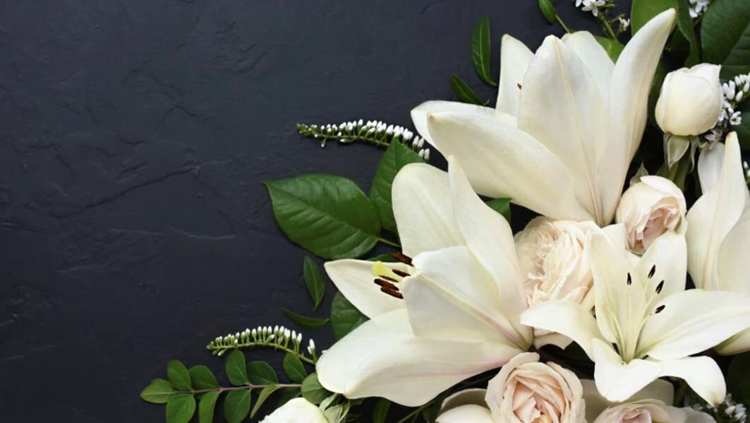 Flowers with white petals are arranged among green leaves against a dark background.