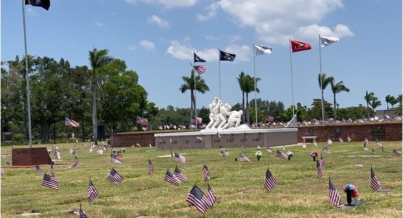 Golden sunlight filters through trees in an autumn park, highlighting vibrant leaves on the ground.