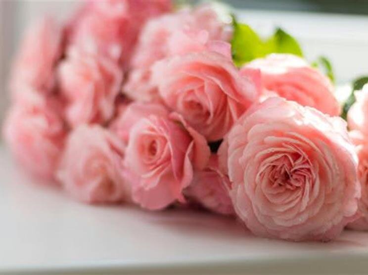 Navigating Grief During Significant Anniversaries