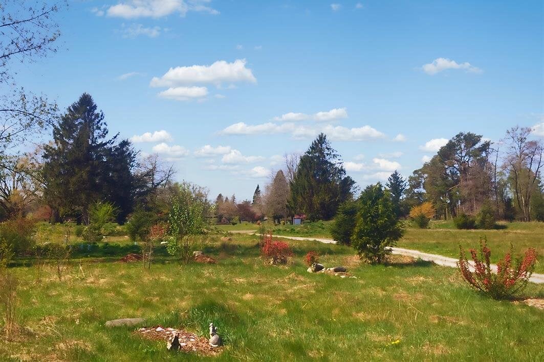 The Meadow Natural Burial Ground at Greenacres Memorial Park allows families the option to lay loved ones to rest in a serene and natural environment.
