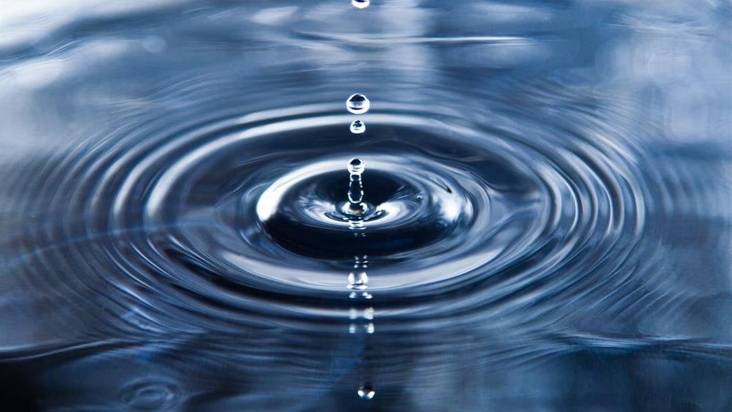 Understanding Aquamation