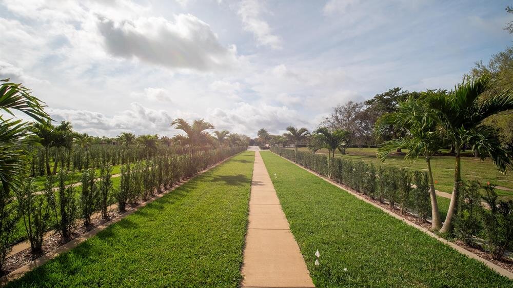 A scenic path winds through lush greenery with trees on both sides, heading towards hills.