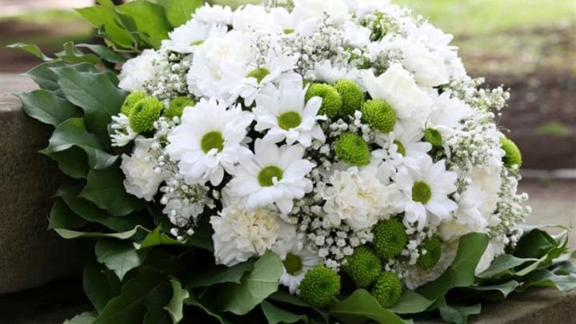 As environmental consciousness continues to grow, many families are seeking ways to reduce their ecological...