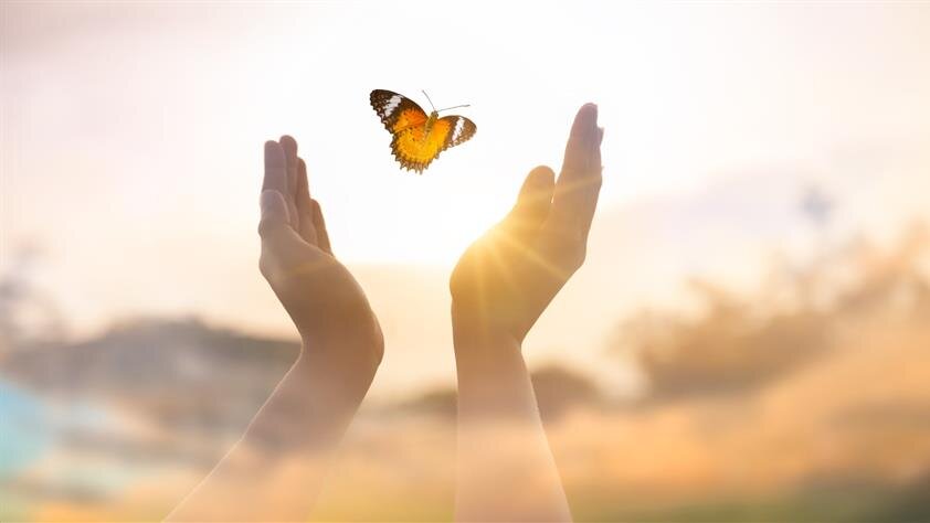 In moments of loss, families often search for meaningful ways to say goodbye, gestures that go beyond words, offering...