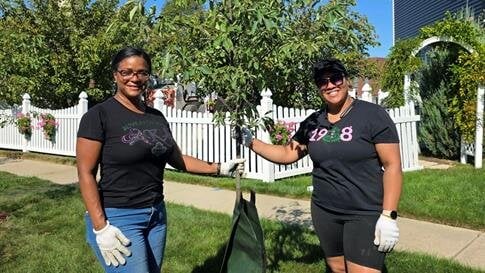 Kandice Saulsberry Leads Point Place Tree Replanting